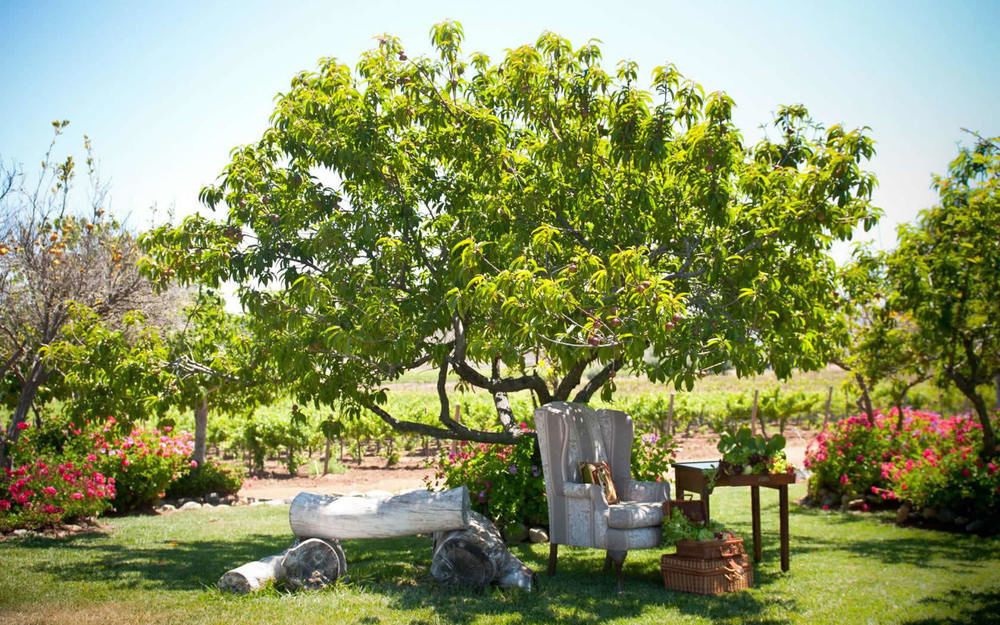 Rancho El Parral Villa San Marcos  Ngoại thất bức ảnh